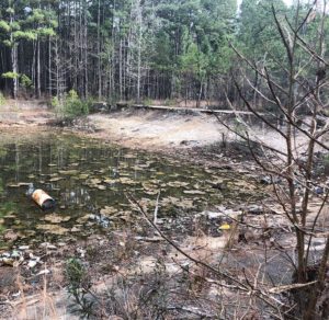 Current photo of the old swimming pool at Camp Livingston. It is overgrown and has trash in it.